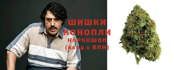 спайс Богородицк