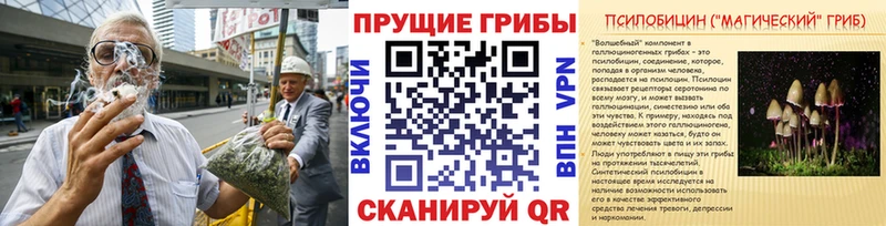 магазин продажи   Волосово  Галлюциногенные грибы прущие грибы 